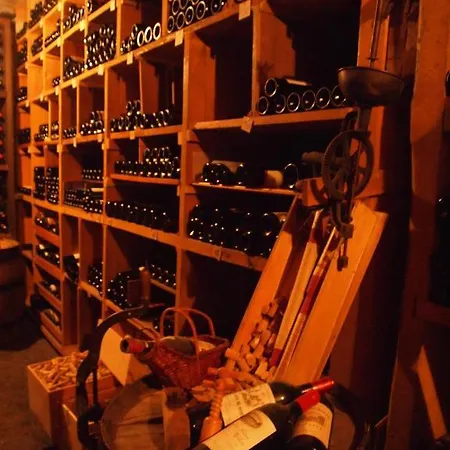 Simmental 2* Boltigen