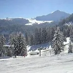 Otel Simmental 2*