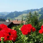 Simmental Otel Boltigen