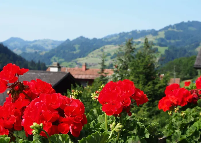 Simmental Hotell Boltigen