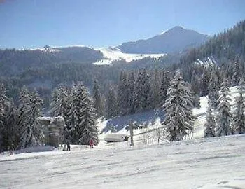 Отель Simmental 2*