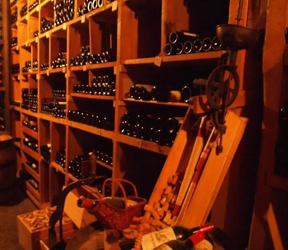 Simmental 2* Boltigen